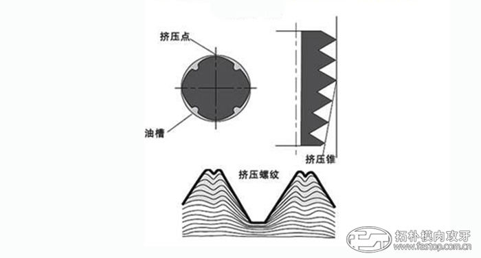 擠壓絲錐工作原理【拓樸】